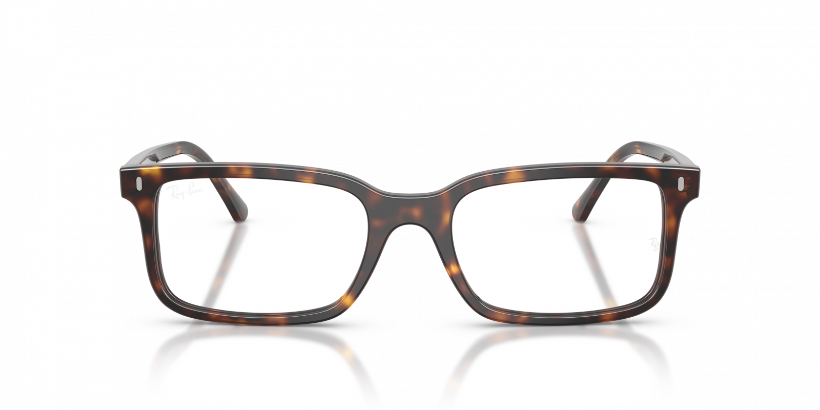 Ray Ban RX5445 2012  